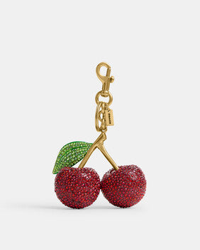 Accessories coach