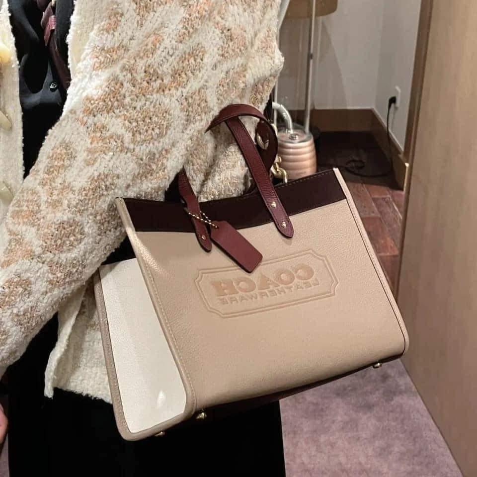 COACH Colorblock Suede Trim Badge Field Tote 30