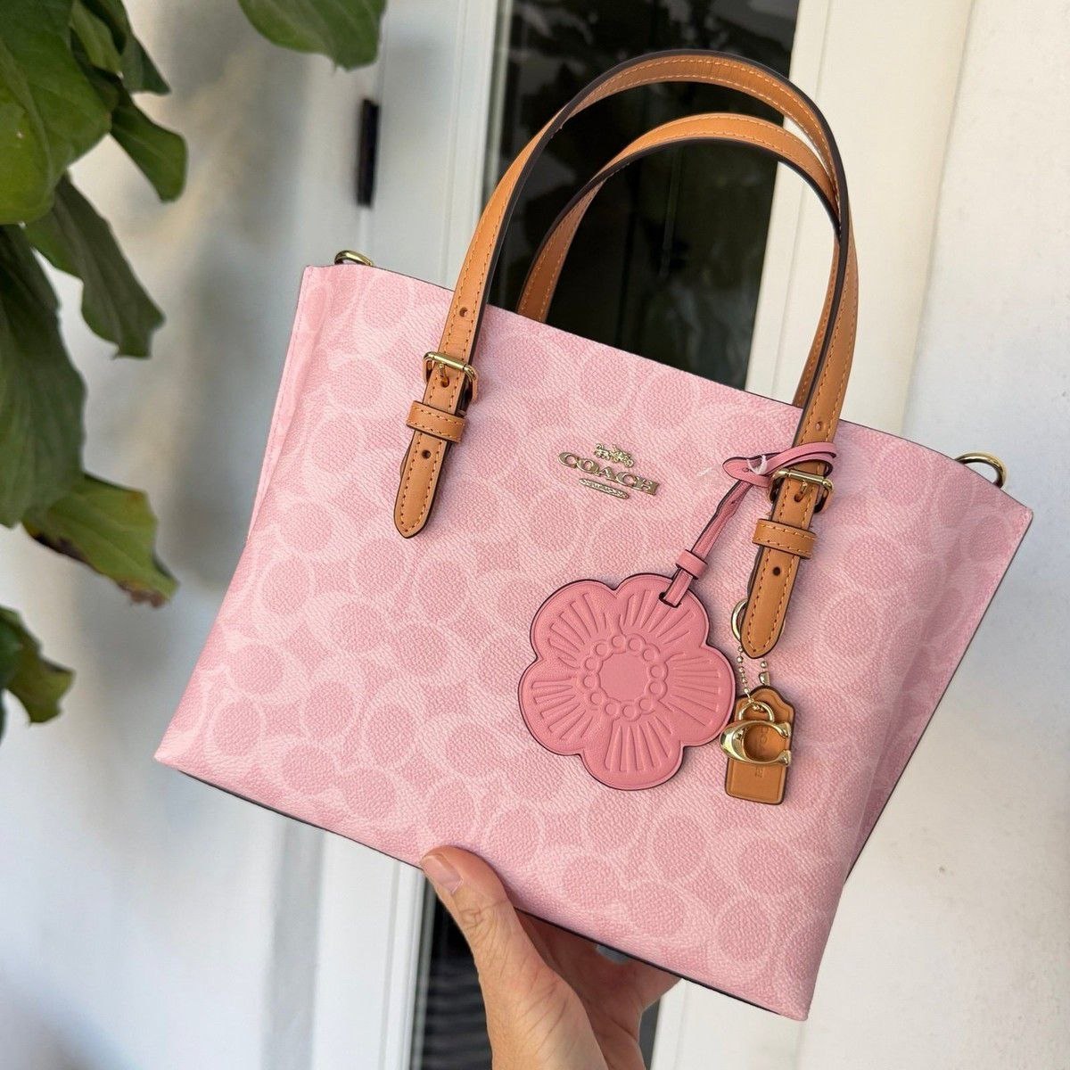 Mollie Tote Bag 25
In Signature Canvas With Charm